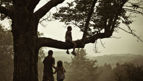 Children sitting in oak tree