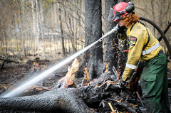 Firefighter dowsing embers on a downed, burnt tree. Courtesy of Goverment of Alberta.