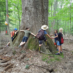 Children hugging a large tree trunk. Photo courtesy of VA State Parks, Flickr.