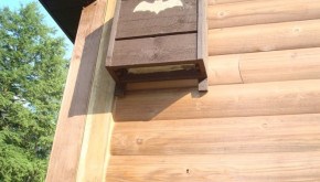Big brown bat box