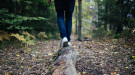 Person walking on a log in a forest. Courtesy of Pixabay.com. 