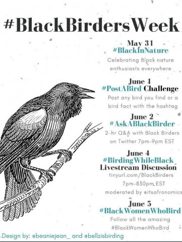 #BlackBirdersWeek Events
