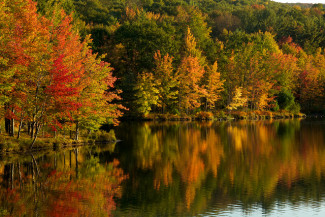 Fall foliage along a lake. Photo by David Whiteman
