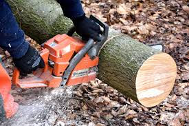 Individual using a chainsaw to cut a log into firewood. 