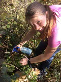 Woman managing invasive species in woodlands