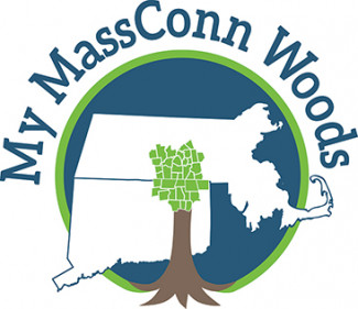 My MassConn Woods logo