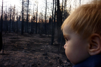 Sarah DeMay’s child looking out on the burned forest after the Las Conchas fire.
