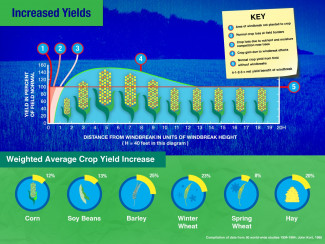 Graphic illustrated windbreaks improve crop yields.