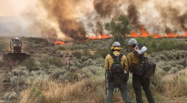Extended attack on lightning strike wildfire in Mountain City, Nevada, 2018