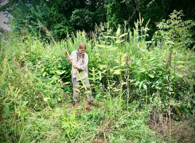 Land Stewards Crew member transplanting native species to make a pollinator garden