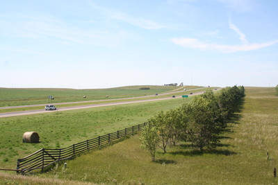 A Line of trees grow parallel to a highway that is surrounded by grasslands. 