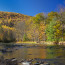 Northern forest in fall foliage next to a stream courtesy of David Whiteman