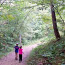 Children walking on path in family forest