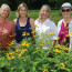 Pollinator Pathway pioneers: Louise Washer, director of the Norwalk River Watershed Association; Donna Merrill, executive director of the Wilton Land Conservation Trust; Mary Ellen Lemay, facilitator for the Hudson to Housatonic Regional Conservation Partnership (H2H), outreach coordinator for the Aspetuck Land Trust and chairman of the Trumbull Conservation Commission; and Kimberly Stoner, who works in the Department of Entomology at the CT Agricultural Experiment Station. Photo: Erik Trautmann